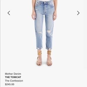 Mother tomcat in confession size 23